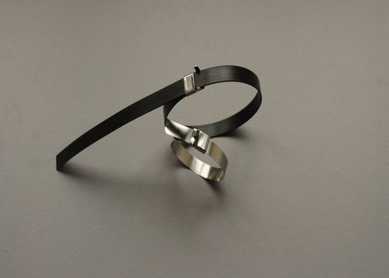 中国 Lはステンレス鋼の有線結着に耳のバックルの錠の8インチのタイの覆いをタイプします サプライヤー