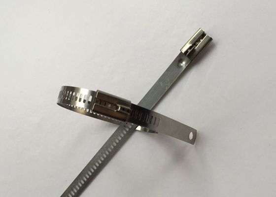 中国 SS304梯子様式ケーブルのタイは、ステンレス鋼ケーブルのジッパー12mmの幅を結びます サプライヤー